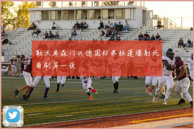 勒沃库森门兴德国杯弗林蓬爆射死角刷屏一夜