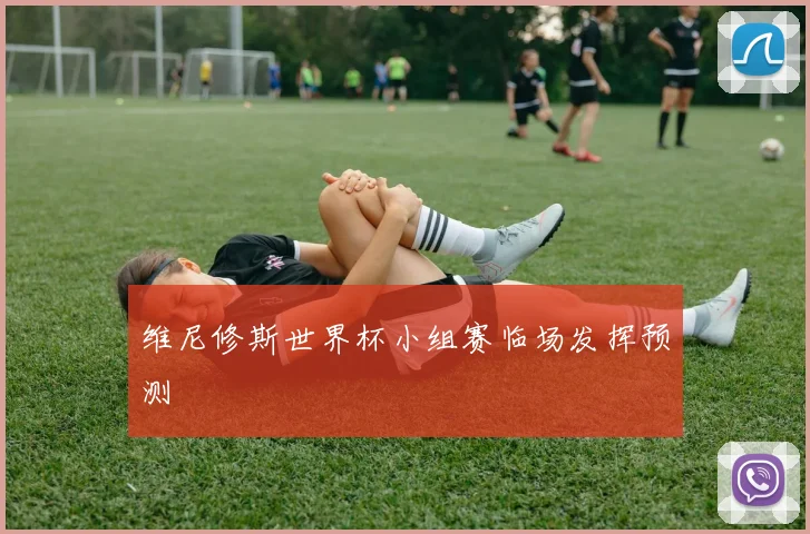 维尼修斯世界杯小组赛临场发挥预测