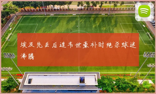 埃及先丢后追韦世豪补时绝杀球迷沸腾