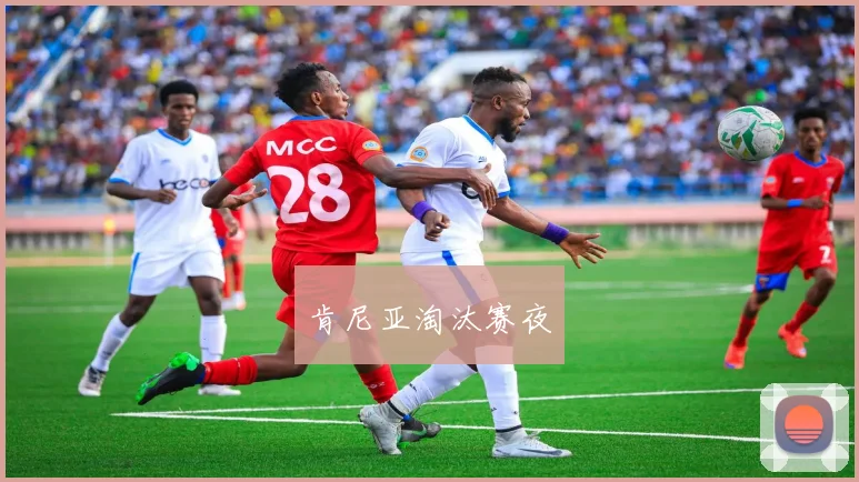 肯尼亚淘汰赛夜