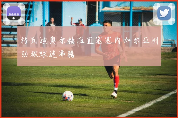 格瓦迪奥尔精准直塞塞内加尔亚洲劲旅球迷沸腾