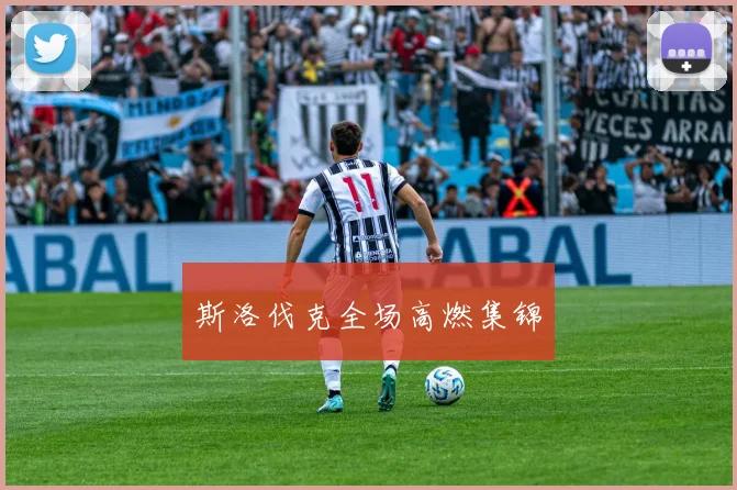 斯洛伐克全场高燃集锦