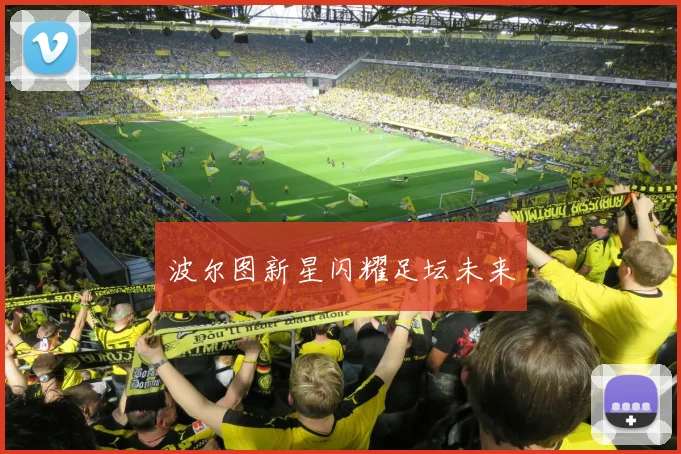 波尔图新星闪耀足坛未来