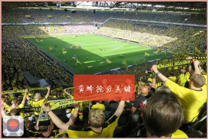 黄蜂抢分关键