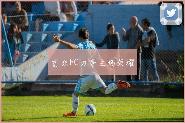 首尔FC力争主场荣耀