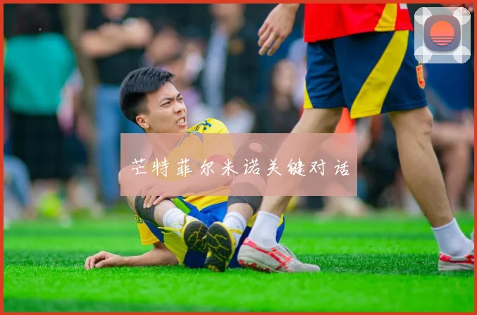 芒特菲尔米诺关键对话