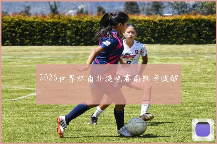 2026世界杯南非捷克赛前赔率提醒