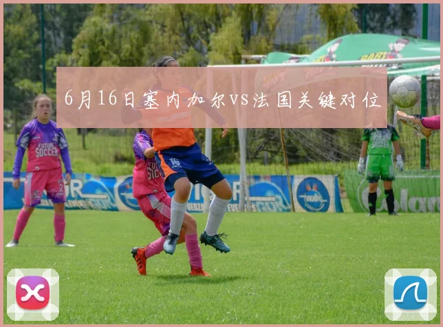 6月16日塞内加尔vs法国关键对位