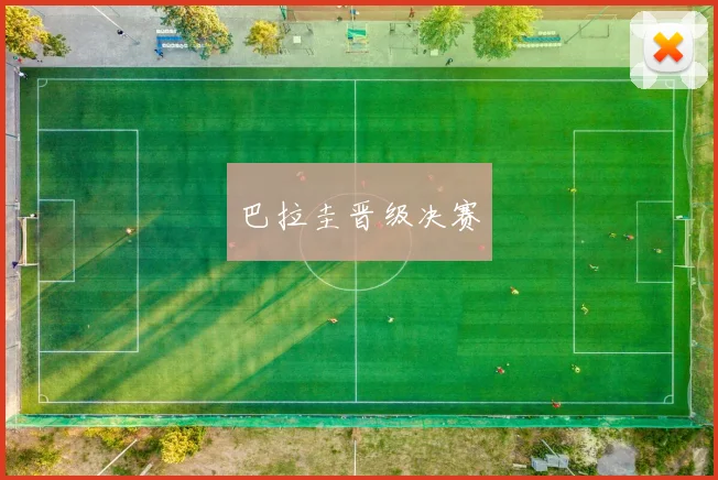 巴拉圭晋级决赛