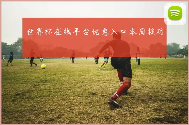 世界杯在线平台优惠入口本周核对