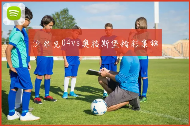 沙尔克04vs奥格斯堡精彩集锦