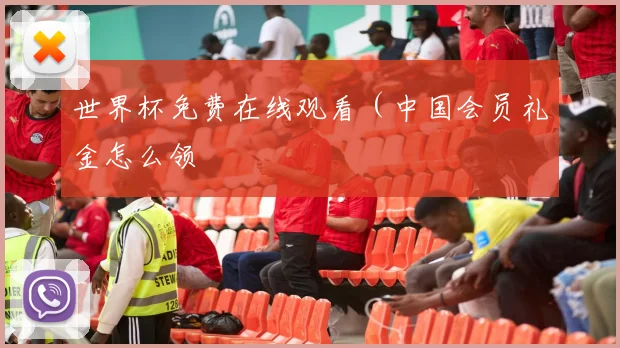 世界杯免费在线观看（中国会员礼金怎么领