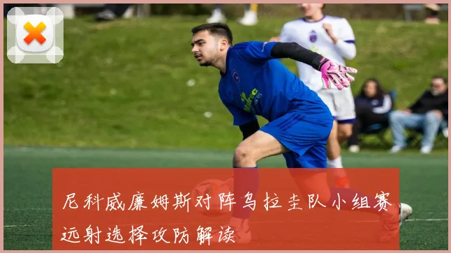 尼科威廉姆斯对阵乌拉圭队小组赛远射选择攻防解读